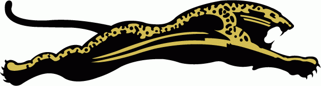 Jacksonville Jaguars 1993-1994 Unused Logo fabric transfer